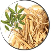 Maca-natural erection supplements